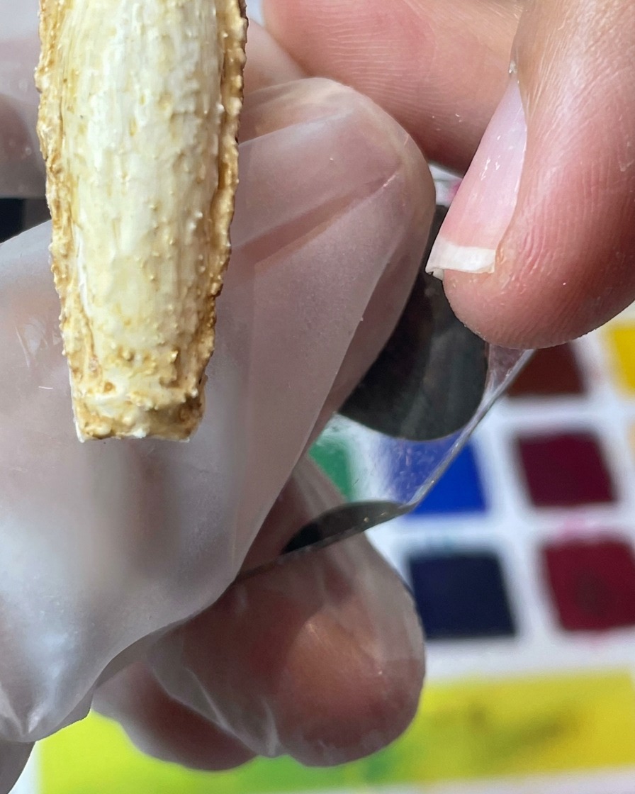 Primer plano de un pincel aplicando pigmento marrón oscuro en los bordes texturizados de la uña.