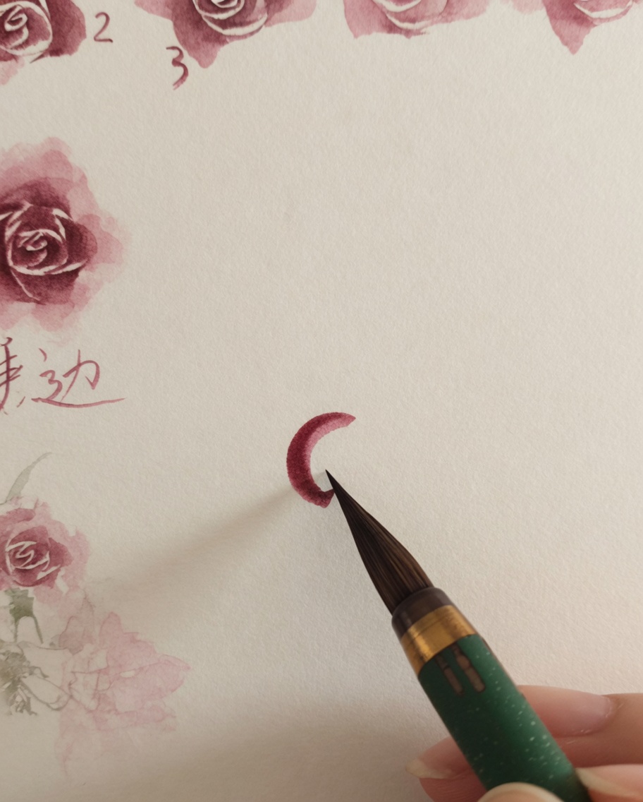 Un pincel de acuarela añadiendo pequeños trazos rosas delgados alrededor del centro de la rosa previamente pintado.