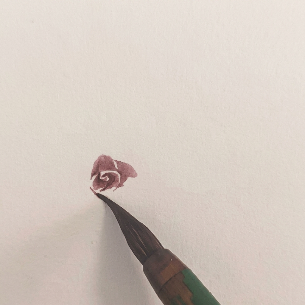 La rosa de acuarela ahora tiene una capa de pétalo adicional que se extiende hacia el lado izquierdo.