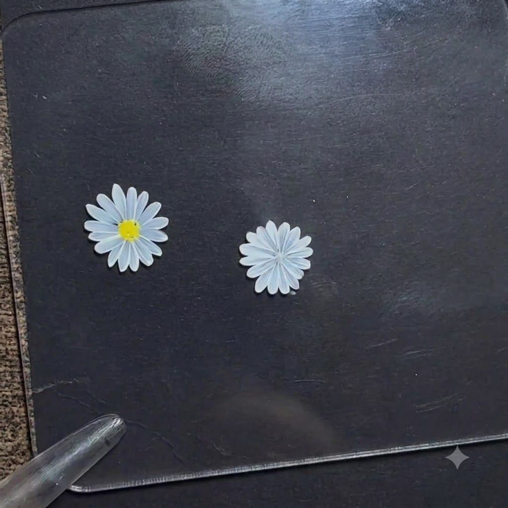 Un bolígrafo puntero aplicando un pequeño punto de gel amarillo brillante en el centro de una flor de margarita blanca sobre una tabla de exposición oscura.